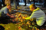Integracia2012_486