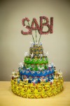 MS-Brusnica-Kolborce-SABI-torta