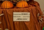 MS-Kurov-Kruzlov-Mudra-sova4)