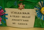 MS-Sasova-Vcielka-Maja-a-Vilko