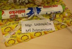 MS-Zelmanovce-Mgr-SABINACIK(2)